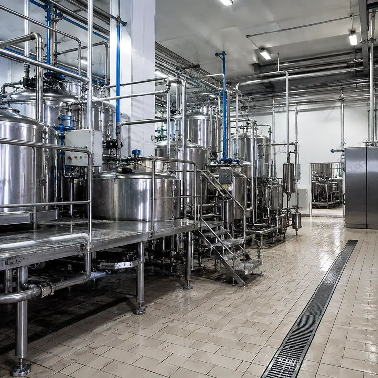 Dairy Processing Plant Manufacturer in India